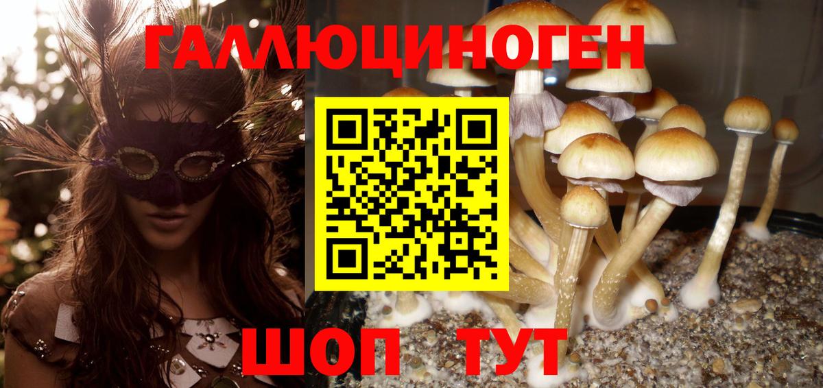 Алушта  Галлюциногенные грибы ЛСД  сколько стоит  Вход с VPN 